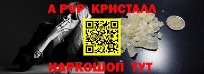 шишки Можга