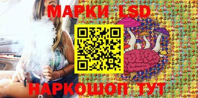 шишки Можга