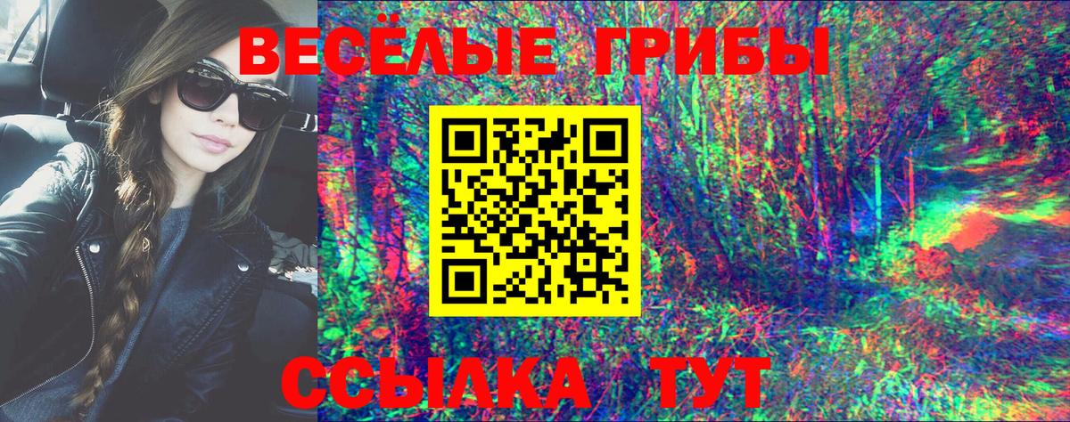 Галлюциногенные грибы Psilocybine cubensis Узловая